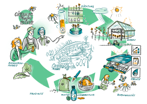 Animation Strategiebild: Circular PhytoREVIER Prozessvisualisierung